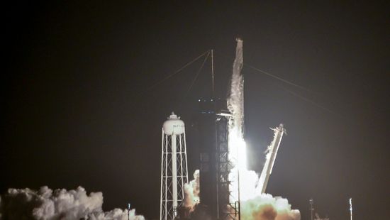 SpaceX: Hangyákat és avokádót is küldtek az űrbe