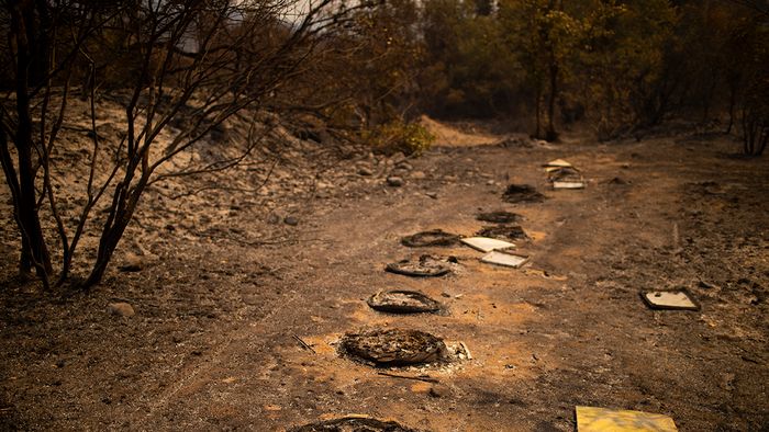 This picture shows burnt beehives near the Village of Voutas on August 11, 2021 as almost 900 firefighters slowly gained control of a nine-day-old wildfire on the Greek island of Evia, officials said, with reinforcements rushing to a massive blaze hundreds of miles to the west. (Photo by ANGELOS TZORTZINIS / AFP)