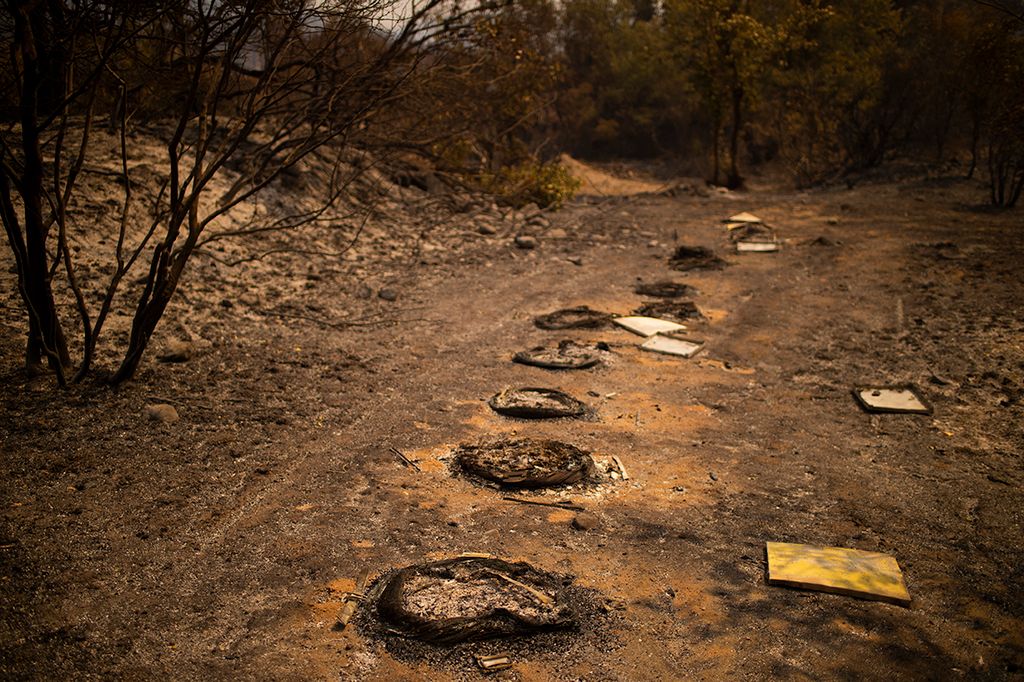 This picture shows burnt beehives near the Village of Voutas on August 11, 2021 as almost 900 firefighters slowly gained control of a nine-day-old wildfire on the Greek island of Evia, officials said, with reinforcements rushing to a massive blaze hundreds of miles to the west. (Photo by ANGELOS TZORTZINIS / AFP)