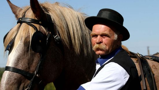 Vizsgáztak a génőrző lovak Kaposváron