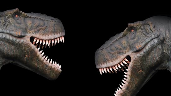 Új csúcsragadózó dinoszauruszt azonosítottak az őslénykutatók