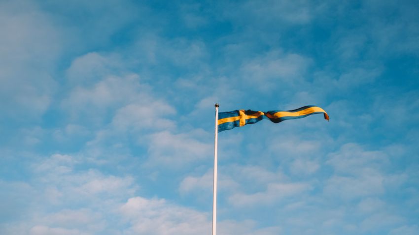 Lapozó: Egy finn kutató szerint a bevándorlás miatt csökkenni fog az átlag IQ-szint Skandináviában