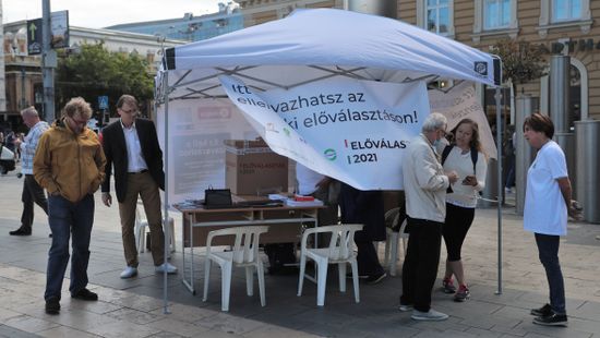 Pénzért kampányolna a baloldalnak a Jobbik kalocsai képviselőjelöltje
