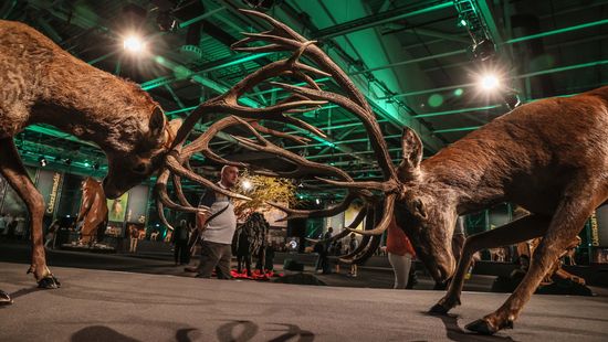 Egy a természettel – a hétvégén megnyílt a vadászati világkiállítás