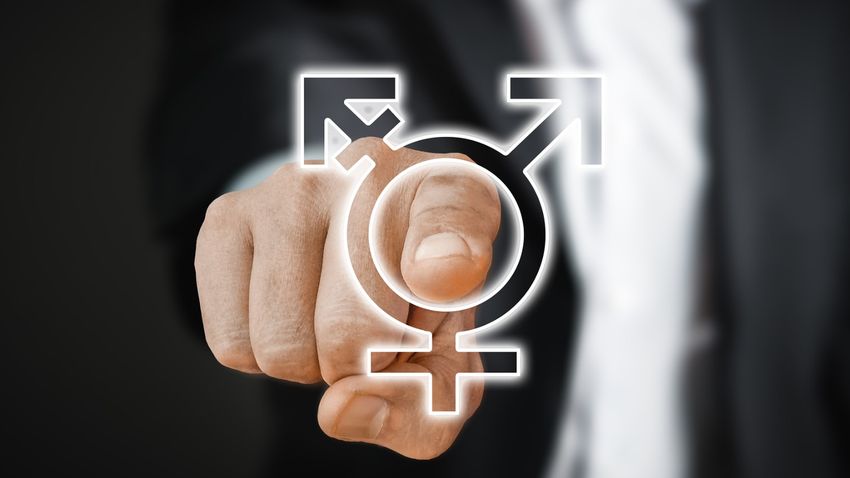 Az Eötvös Loránd Kutatási Hálózathoz köthető folyóiratban közpénzből folytatnak genderpropagandát