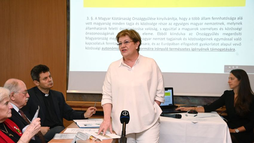 Szili Katalin: A nemzeti kisebbségek ügye nem belügy, hanem európai ügy