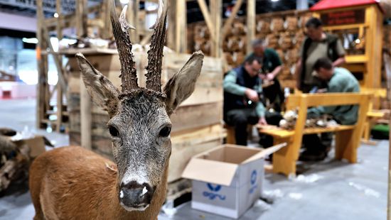 Állatvédelmi napot tartanak a vadászati világkiállításon