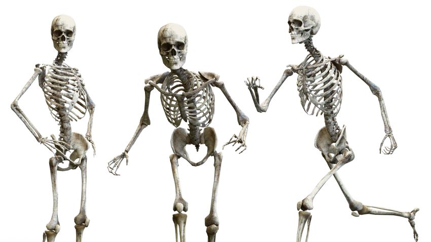 Kvíz: Mennyit tud a csontok védelméről?