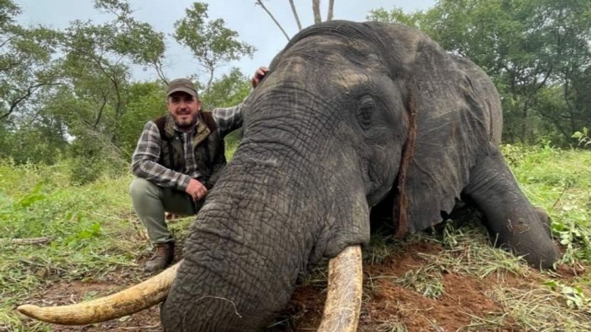 Ő Bige Zalán, a baloldalt finanszírozó oligarcha luxuséletet élő csemetéje