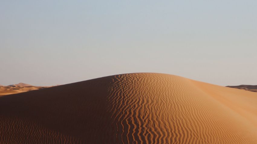 Ezért lehet genetikai aranybánya a Föld legkegyetlenebb sivatagja