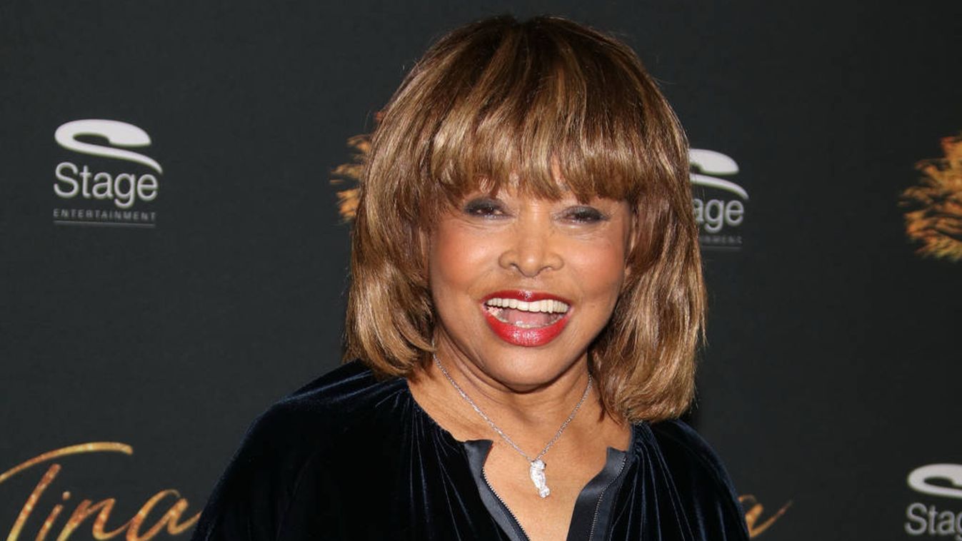 Tina Turner: documentario in produzione