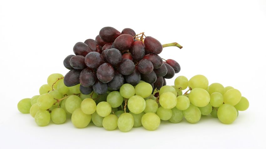 Így fiatalítja meg a bőrünket a szőlő