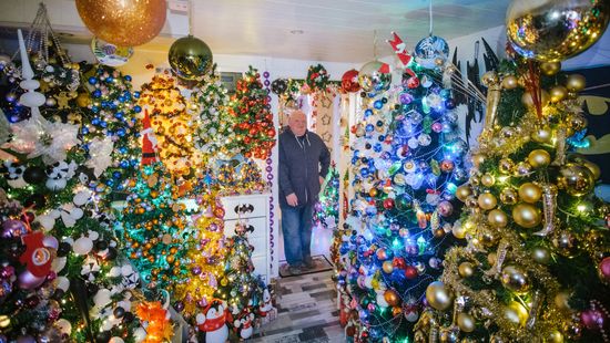 Világrekordot állított fel egy férfi 444 karácsonyfával a lakásában