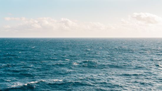 A bolygó lehűtésére megoldás lehet az óceán trágyázása