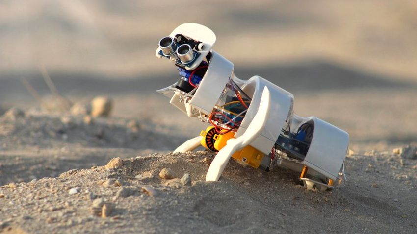 Egy apró robot ültet magokat a sivatagban
