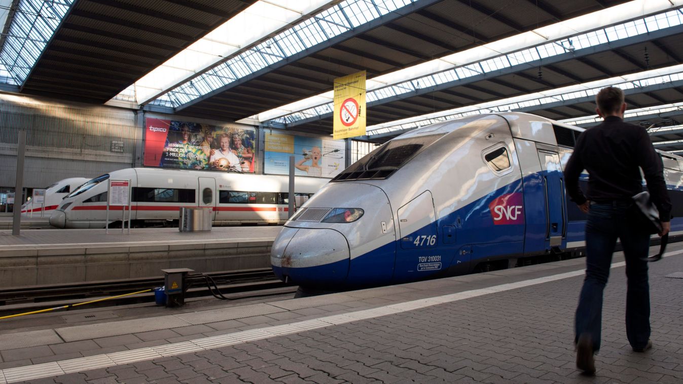 French High Speed Train (TGV) made by French train maker Alstom stops next to German High Speed Train (ICE) made by Siemens at Munich's railway station