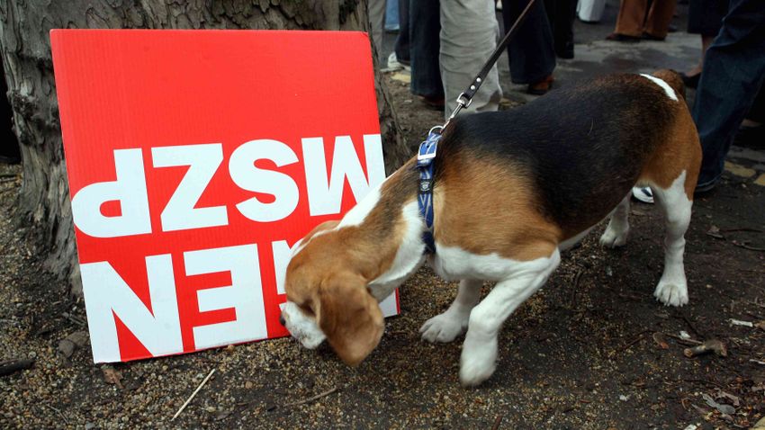 Elítélték Szenteczky Jánost, az MSZP korábbi elnökét