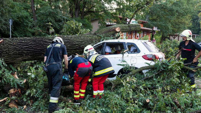 Letört faágak, kidőlt fák miatt kérték a tűzoltók segítségét