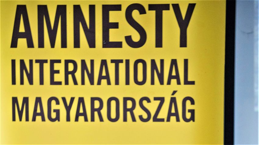 Az Amnesty volt igazgatója: A jogvédő szervezet az ellenzék részeként viselkedik