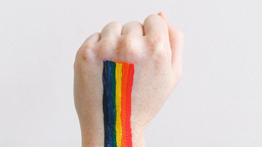 A Pride és a Labrisz Leszbikus Egyesület a pozitív példa az ELTE tananyagában
