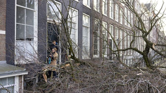 Pedestrians attempt to pass a fallen tree in Amsterdam on February 18, 2022, after Storm Eunice passed across northern Europe. - Millions hunkered down as Storm Eunice pummelled Britain with record-breaking winds, killing one man in Ireland and disrupting flights, trains and ferries across Western Europe. (Photo by Ramon van Flymen / ANP / AFP) / Netherlands OUT