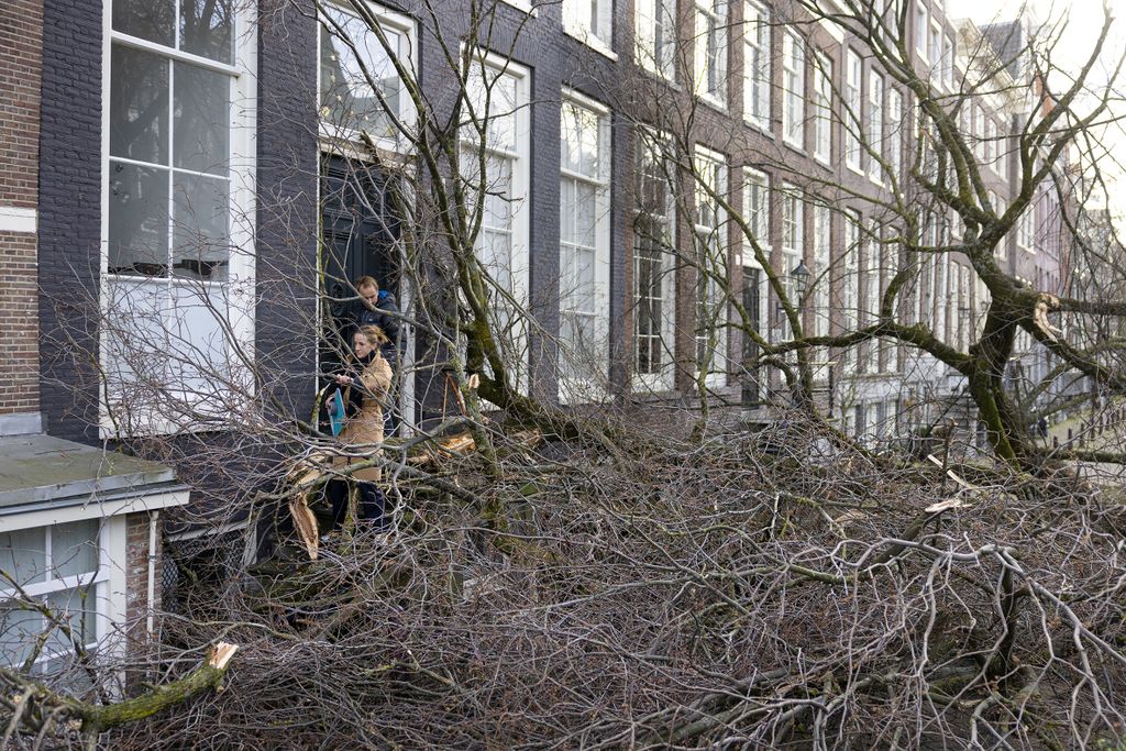 Pedestrians attempt to pass a fallen tree in Amsterdam on February 18, 2022, after Storm Eunice passed across northern Europe. - Millions hunkered down as Storm Eunice pummelled Britain with record-breaking winds, killing one man in Ireland and disrupting flights, trains and ferries across Western Europe. (Photo by Ramon van Flymen / ANP / AFP) / Netherlands OUT