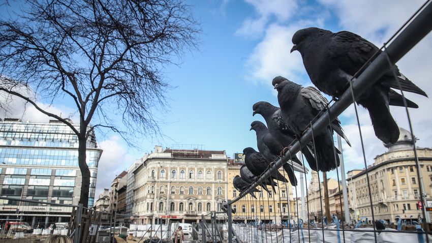 Karácsonyék projektjei állnak, a kormány fejleszti Budapestet