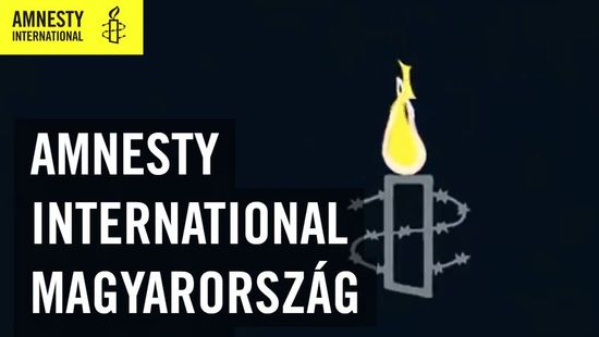 Left-wing journalist: Most NGOs, including Amnesty International, control foreign journalists
