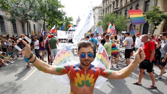 Kétmillió forintos sérelemdíjra ítélték a pride-os molesztálót