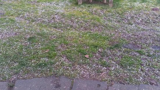 Jégeső csapott le Pakodra a februári szeszélyes tél közepette + videó