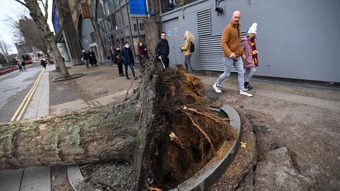 London, 2022. február 18.
Tőből kicsavart fa mellett mennek járókelők Londonban 2022. február 18-án, az Eunice nevű vihar elvonulása után. A legmagasabb szintű vörös riasztást rendelték el Londonra, Délkelet- és Kelet-Anglia térségeire, a közvetlenül a vihar útjába eső délnyugat-angliai Devon, Cornwall és Somerset megyékre, valamint a dél-walesi partvidékre.
MTI/EPA/Andy Rain