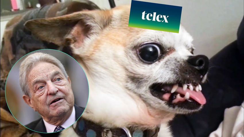 A Telex Soros védelmére sietett, de a nagy rohanásban pofára esett