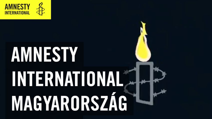 Baloldali újságíró: A legtöbb NGO kézben tartja a külföldi újságírók irányítását, az Amnesty International is + videók