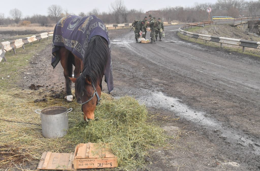 DPR LPR Russia Ukraine Military Operation