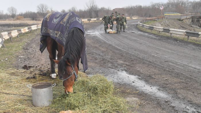 DPR LPR Russia Ukraine Military Operation