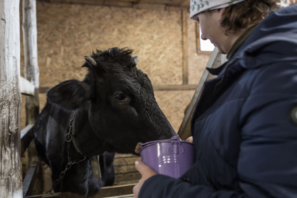 Pet therapy for civilians suffered war trauma in Ukraine