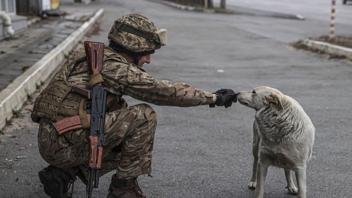 Military density in Irpin amid Russian attacks