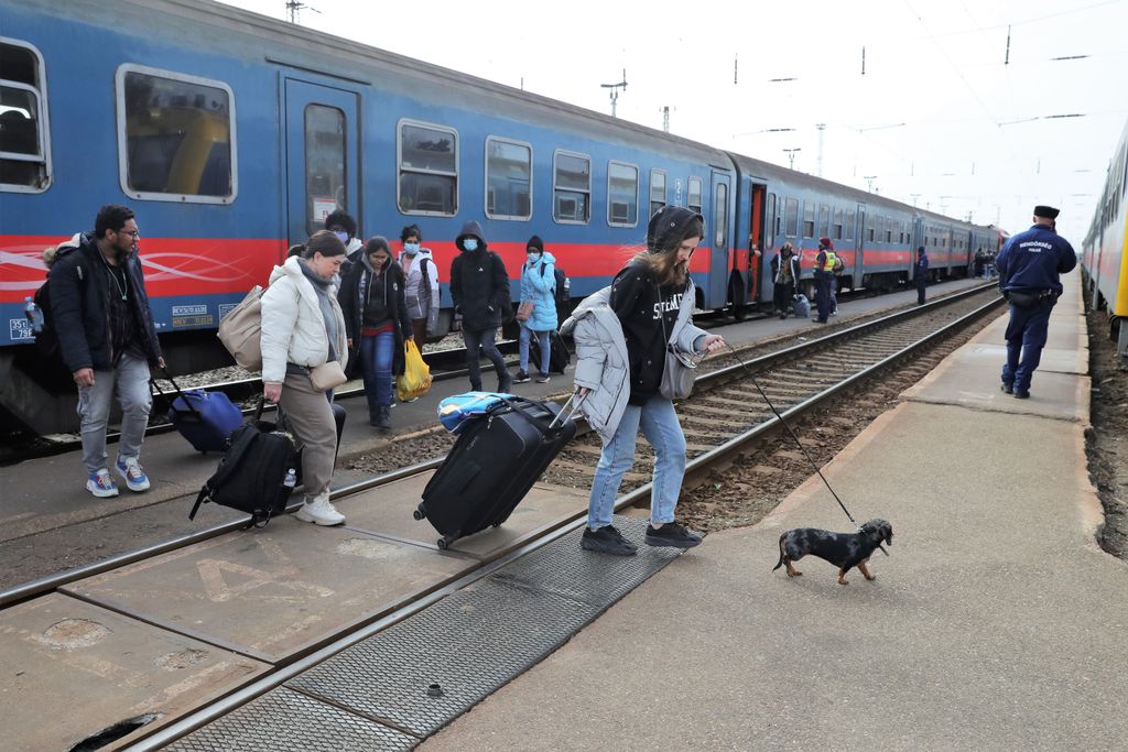 20220302 zahony ukran menekultek erkeznek havran zoltan magyar nemzet