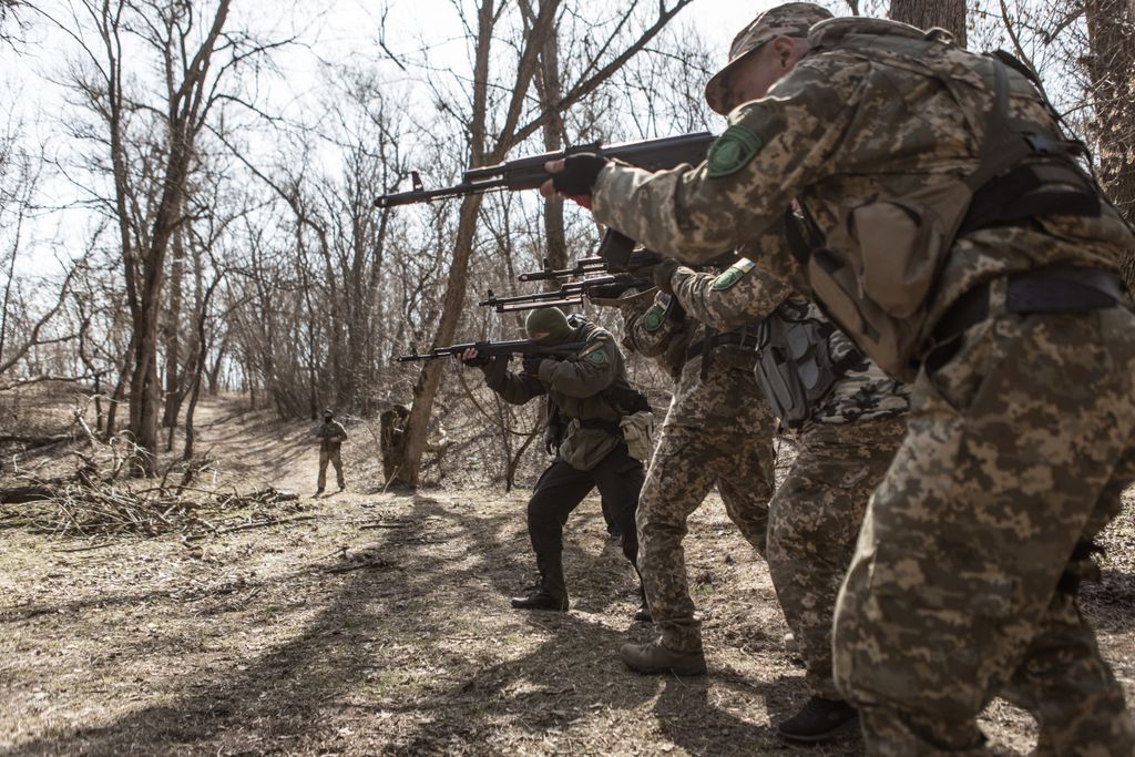 Territorial Defense Units receive military training in Ukraine