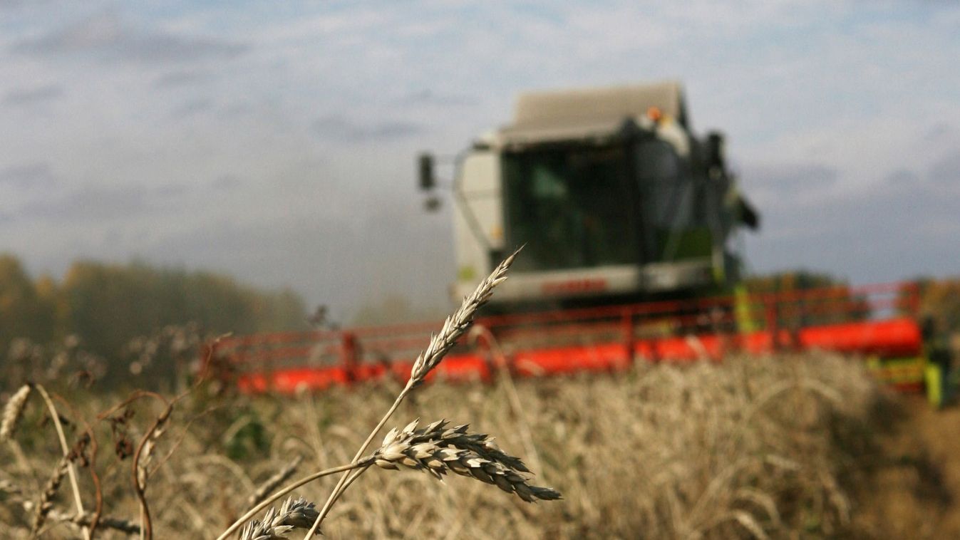 Grain harvesting