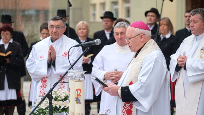 TAMÁS József