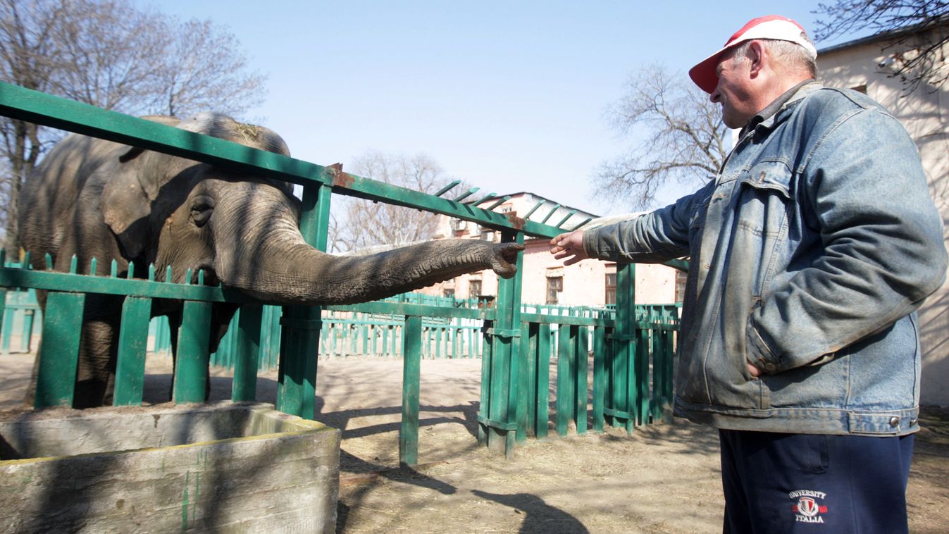 Ukrainian Odesa's Zoo Opens, Amid Russia's Invasion Of Ukraine