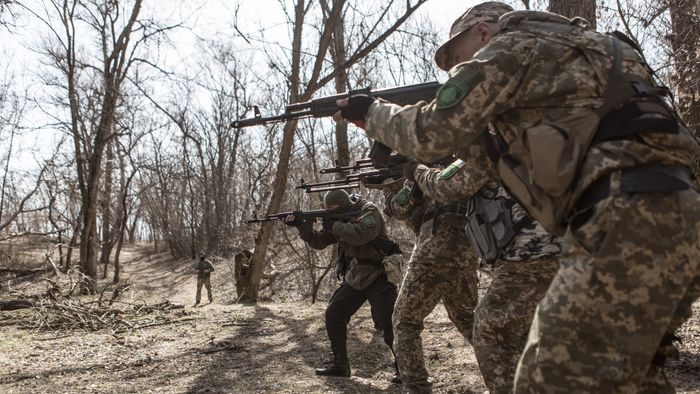 Territorial Defense Units receive military training in Ukraine