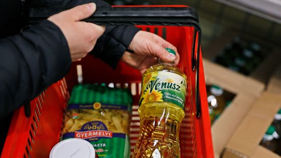 Jókora árat fizet a világ a napraforgóhiányért