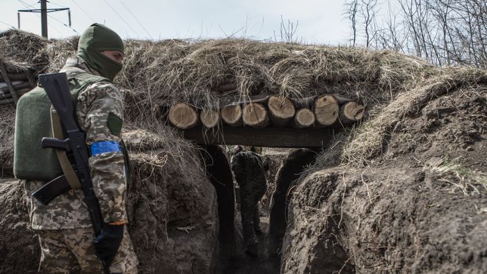 Territorial Defense Units receive military training in Ukraine