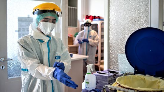 Veszélyes lehet a Grimsö-vírus? Svédországban egy újfajta koronavírust azonosítottak