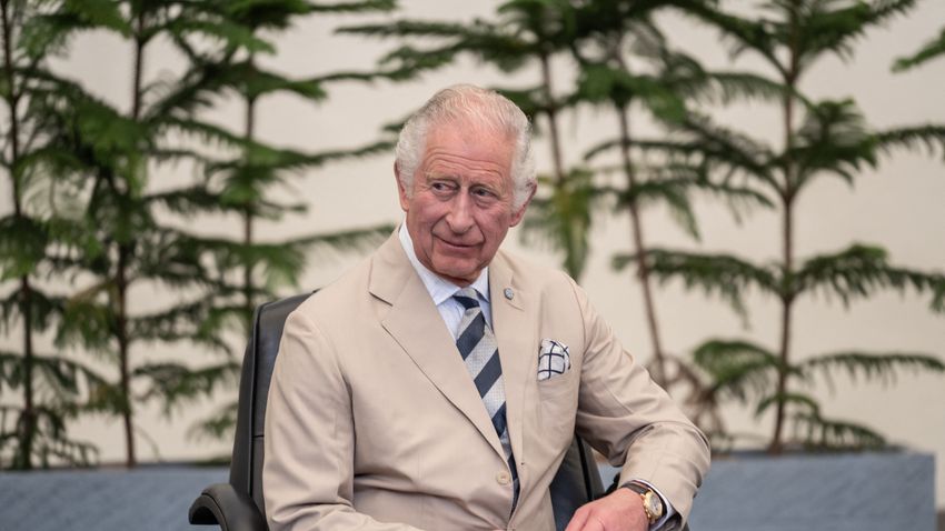 Károly herceg bőröndben kapott egymillió euró készpénzt