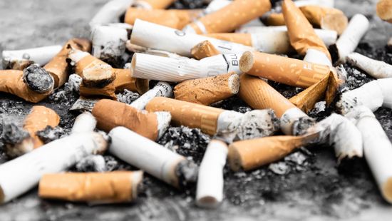 Lapozó: Cigarettahamisításban lett első Belgium