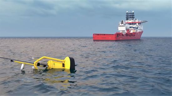Robotbójákkal védik a bálnákat az Atlanti-óceánon