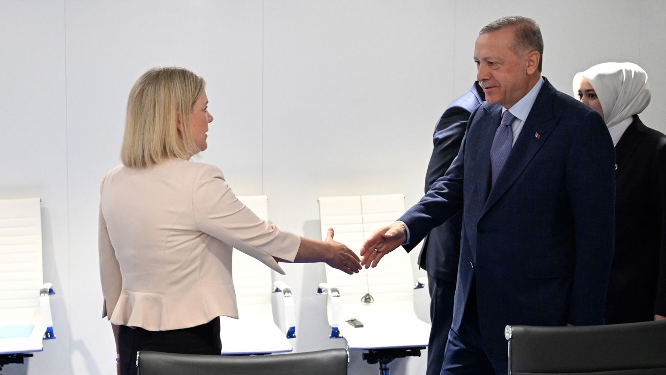 Erdogan discusses Sweden's NATO memebership with Swedish Prime Minister Magdalena Andersson